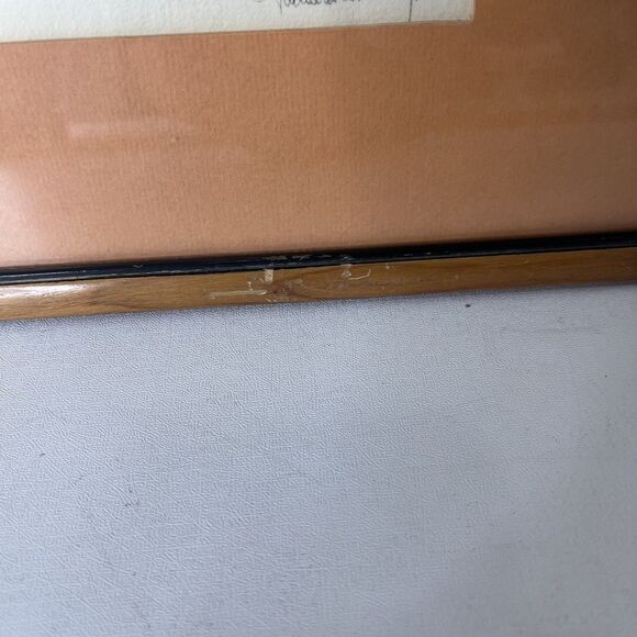 Robert E Bishop Through The Willows Etching 1936 Framed Vintage Wildlife Print - Picture 4 of 14